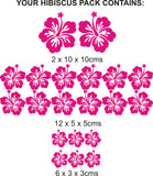 20 x Hibiscus Flowers