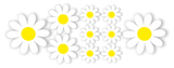 Daisy Stickers