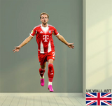 Harry Kane Wall Art Sticker - Full Colour