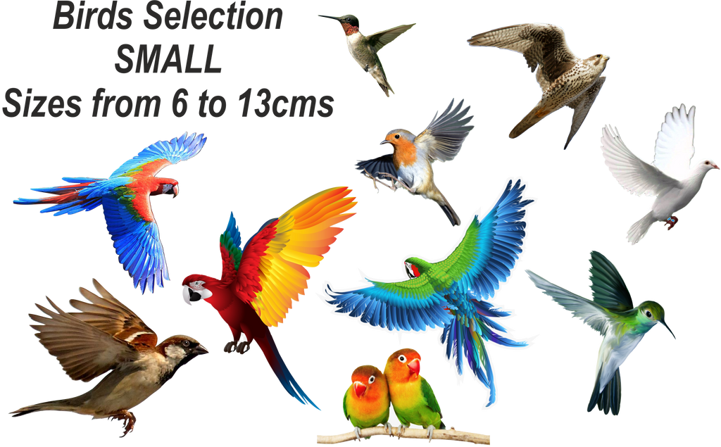 Birds Static Cling Window Stickers - Double Sided Images - Easy to Apply