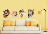 3d cat stickers 