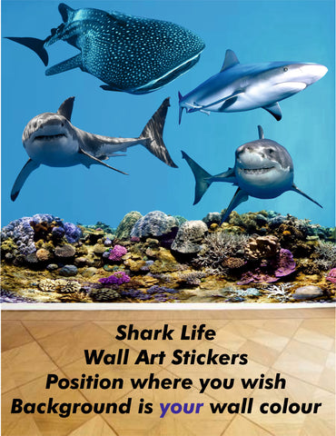 Shark Life Wall Art in Full Colour