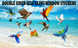 Birds Static Cling Window Stickers - Double Sided Images - Easy to Apply