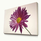 A3 Canvas Prints (12" x 16" x 1.5" deep box frame) YOUR PHOTO OR PICTURE