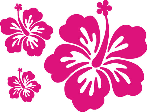 20 x Hibiscus Flowers