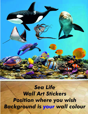 Sea Life Wall Art in Full Colour