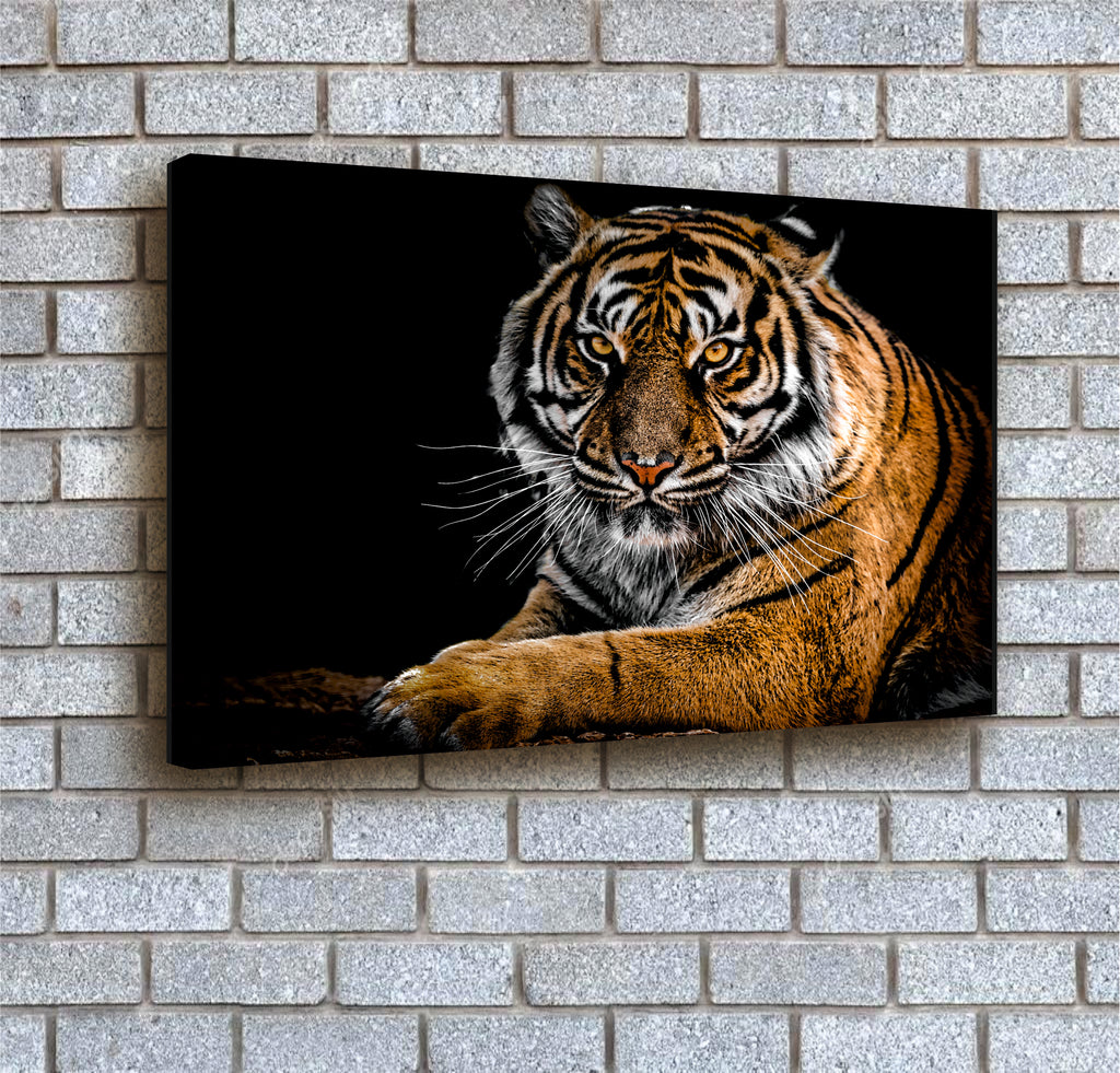 Tiger at Night canvas